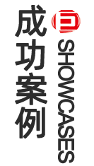 成功案例